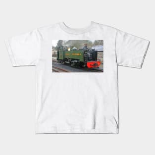 Locomotive #1213 - Vale of Rheidol Railway, February 2020 Kids T-Shirt